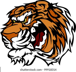 Cartoon Tiger Head Mascot Vector Image