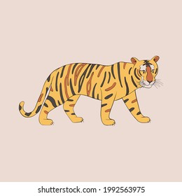 Cartoon tiger isolated on white background.
