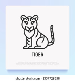 Cartoon tiger thin line icon. Modern vector illustration for Chinese horoscope.