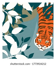 Cartoon tiger walking in a jungle, top view. Stock vector illustration. Rainforest inhabitants. 
