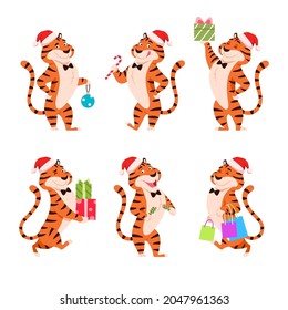 Cartoon tigers in Santa hat set. Holiday standing characters for New Year 2022. Smiling orange striped wild cat with present, Christmas cracker, candy cane, decoration. Xmas animal vector illustration