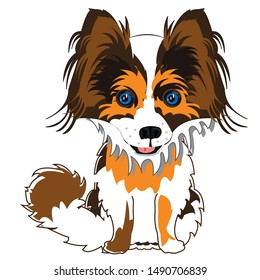 Cartoon of the tiny dog papillon on white background is insulated