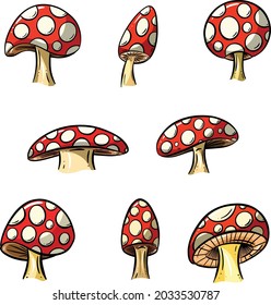 Cartoon Toadstool and Mushroom Illustration Vector Collection
