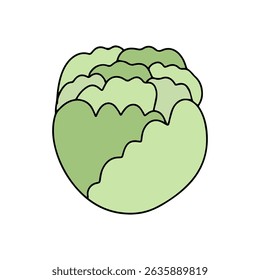 cartoon tomato, cabbage, broccoli vegetables flat design
