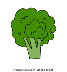 cartoon tomato, cabbage, broccoli vegetables flat design