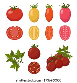 Tomates de dibujos animados y rodajas, colección vectorial de varios tipos de tomates, formas y colores de tomate. Vector aislado conjunto agrícola de la verdura roja.