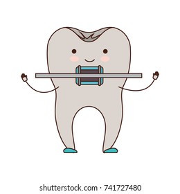 cartoon tooth with root and brace colorful silhouette vector illustration