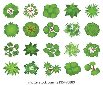 Cartoon top view trees, plants, bushes for landscaping design. Garden tree, bush, shrub, plant elements for landscape plan vector set. Different greenery for projects, maps and schemes