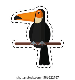 cartoon toucan bird exotic fauna
