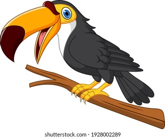 Cartoon toucan bird on tree branch