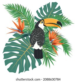 Cartoon toucan bird with tropical leaves illustration.