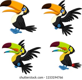 Cartoon toucan collection set