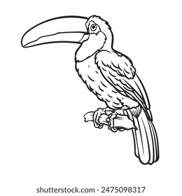 Cartoon toucan drawing with line art style. Simple design outline style. You can give color you want. Easy to edit. Bird vector illustration