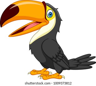 Cartoon toucan isolated on white background