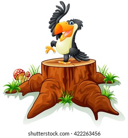 Cartoon toucan on tree stump
