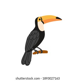 Cartoon toucan on a white background.Flat cartoon illustration for kids.