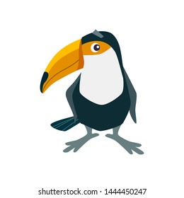 Cartoon toucan vector flat illustration.
