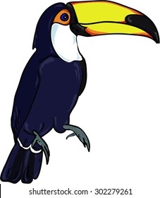 Cartoon toucan, vector illustration