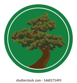 Cartoon tree bonsai with green background - Vector illustration.
