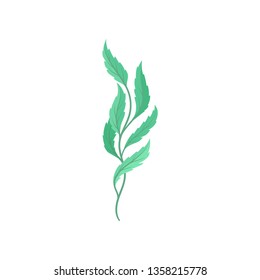Cartoon tree branch on white background. Flora concept.