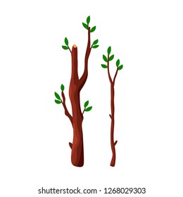 Cartoon tree branches with green leaves isolated on white background - flat vector illustration