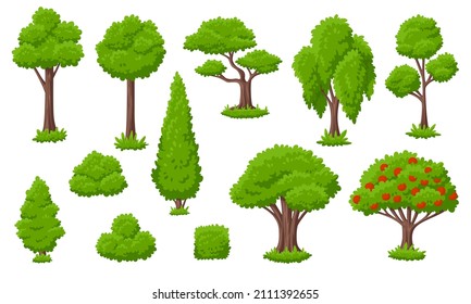 Cartoon tree and bush. Green trees, garden bushes. Forest elements, nature country landscape. Isolated shrub in grass, backyard flat plants, garish vector set