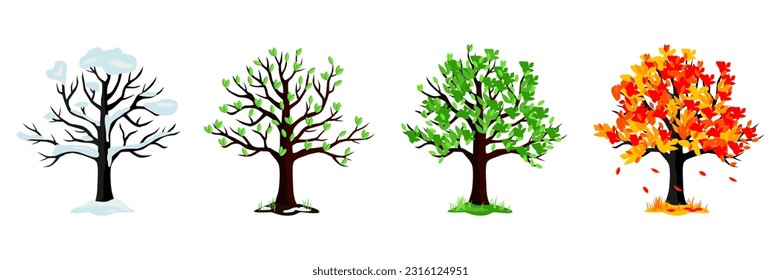 Cartoon tree collection. Set of different season tree. Winter, spring, summer, fall tree collection