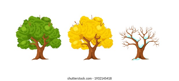 Cartoon tree at different times of year. Oak seasonal tree for game scenes. Green planting trees for garden forest park. Three seasons summer, autumn, winter cartoon isolated vector