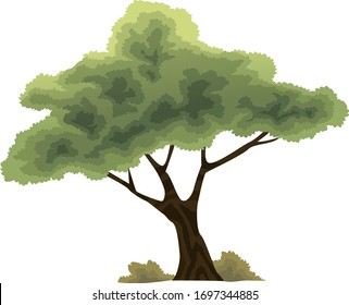 Cartoon Tree Forest Vector Green Symbol Png Eps 