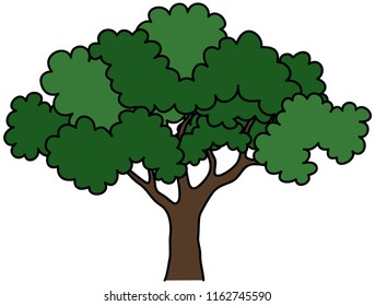 Cartoon Tree Green Leaves Branches Trunk Stock Vector (Royalty Free ...