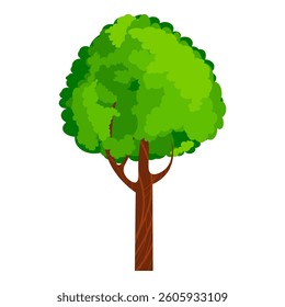 Cartoon tree with a lush green crown and a sturdy brown trunk isolated on white backdrop. The vibrant colors and simple shape, ideal for backgrounds, web designs, or educational materials. Vector tree
