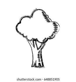cartoon tree natural forest foliage ecology icon