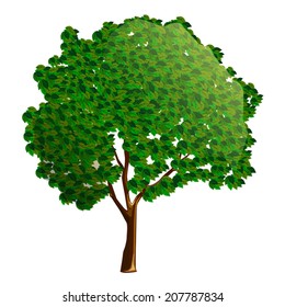 cartoon tree on a white background vector