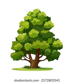 Cartoon Tree Vector Design, Big Green Tree Illustration