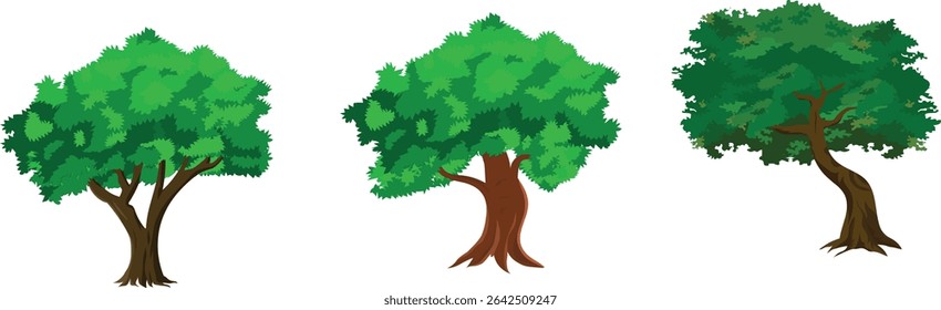 Cartoon Tree Vector Set with 3 Green Leafy Forest Trees for Animation Background, Village Nature Scene, Jungle Game Asset, Storytelling Landscape or Educational Explainer Video Design

