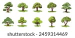 Cartoon tree vector set, collection of trees image with dense green leaves, natural tree plant design element for forest or garden
