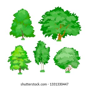 Cartoon trees. Cute woody plants, green and yellow eco aspen, maple, oak, birch trees in summer and autumn seasons. Ecology, pure nature, environmental garden forest landscape. Vector illustration.