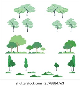 Cartoon trees. Different types of forest plants. Coniferous and deciduous. Summer pine. High oak. Low wood. Green crowns foliage. Landscape lush greenery. Botanical