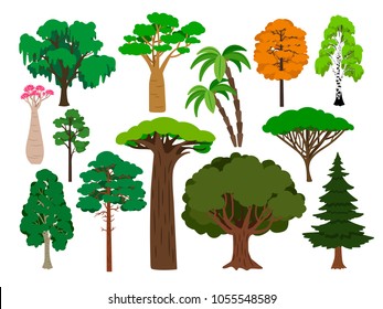 Cartoon trees. Vector green tree set, brachychiton and rowan, palm and willow, maple and poplar forest plants isolated on white background