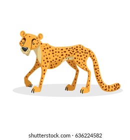 Cartoon trendy design african big cat cheetah. Wildlife and zoo vector illustration. 