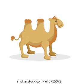 Cartoon trendy design . African desert animal. Wildlife and zoo vector illustration icon. 