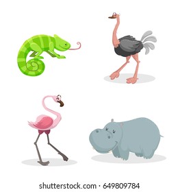 Cartoon trendy style african animals set. Chameleon with big tonque, ostrich, flamingo and hippo. Closed eyes and cheerful mascots. Vector wildlife illustrations.