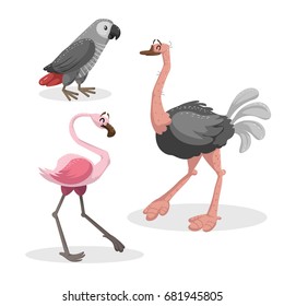 Cartoon trendy style african birds  set. Grey parrot, ostrich and flamingo. Closed eyes and cheerful mascots. Vector wildlife illustrations.