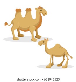 Cartoon trendy style camels set. Dromedary camel and bactrian. Closed eyes and cheerful mascots. Vector wildlife illustrations.