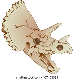 Cartoon Triceratops Skull