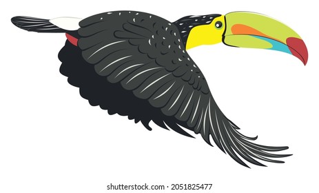 Tropischer Cartoon-Vogel, Kiele-Tucan mit großer bunter Schnabel.