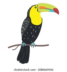 Cartoon tropical bird, keel-billed toucan with big colorful beak.