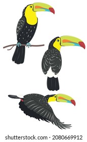 Cartoon Tropical Bird, Keel-billed Toucan With Big Colorful Beak.