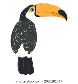 Cartoon tropical bird toucan with big orange beak.