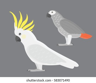 Cartoon tropical cockatoo parrot wild animal bird vector illustration.